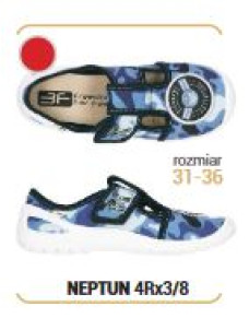 NEPTUN